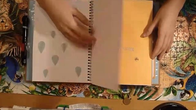 Smashbook review (red) by Miss Fly. - Обзор смэшбука ( красный) смотреть онлайн