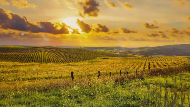 Relaxing Sleep Music • Deep Sleeping Music, Fall Asleep, Meditation Music. смотреть онлайн