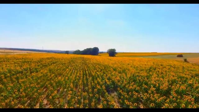 Псалом 14 - Безбожні люди 🧟 українською мовою, псалом Давида 🧟 смотреть онлайн