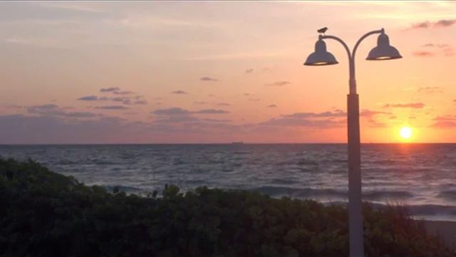 UNO Tango смотреть онлайн