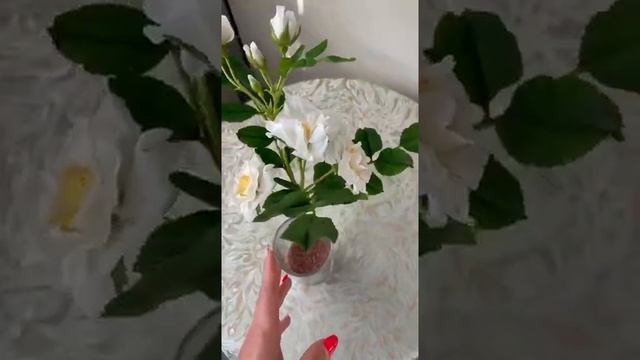 Веточка шиповника. смотреть онлайн