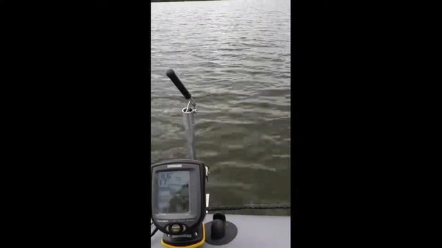 Уникальный держатель эхолота для лодки Пеликан с функцией активного поиска рыбы на 360 градусов! смотреть онлайн