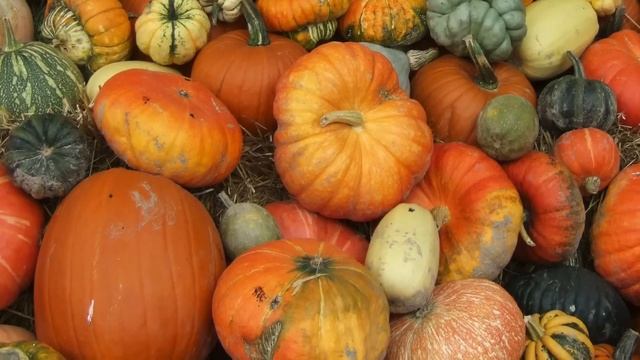 Из-за одного куска ТЫКВЫ могут запуститься необратимые процессы в организме. Что творит ТЫКВА? смотреть онлайн