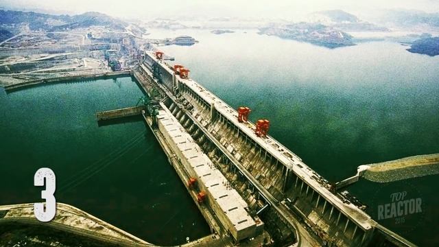 5 ВЫМЕРШИХ ЖИВОТНЫХ, которые могут быть живы смотреть онлайн