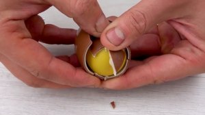 ? Compilation Experiments Meat Grinder vs Kinder Surprise and Kinder Joy