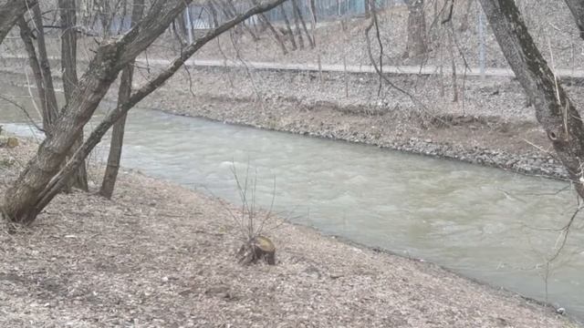 Видеоклип смотреть онлайн
