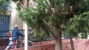 Санаторий имени Крупской в городе Евпаторий