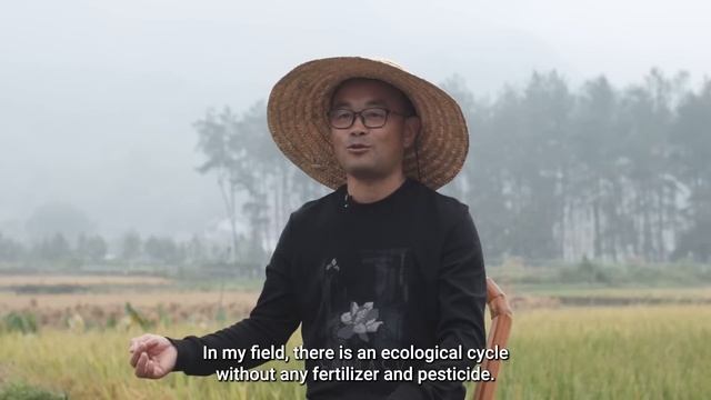 How China is reviving lost land and forgotten villages смотреть онлайн