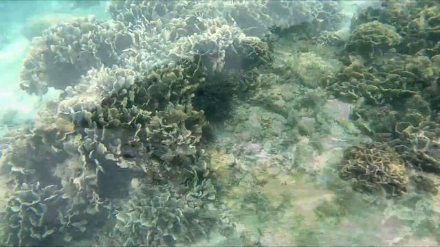 Отдых! Красота! Камбоджа! смотреть онлайн