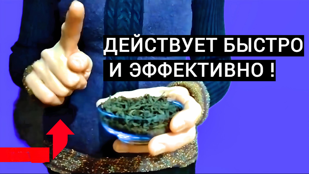 Самая простая подкормка для ДЕКАБРИСТА после цветения!Действует Быстро и Эффективно! смотреть онлайн