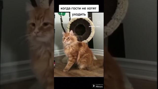 Подборка приколов ноября