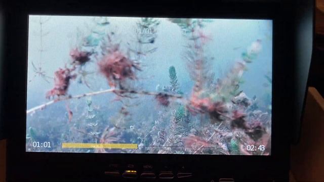 Ролик с экрана монитора с DVR в 4К (iphone) .291 сенсор ,солнечно . смотреть онлайн