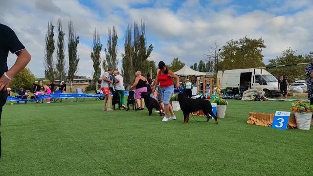 Производители - моно ротвейлеров Краснодар 2023