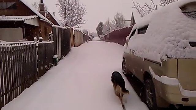 29 апреля - однако Сибирь и ничего удивительного... смотреть онлайн