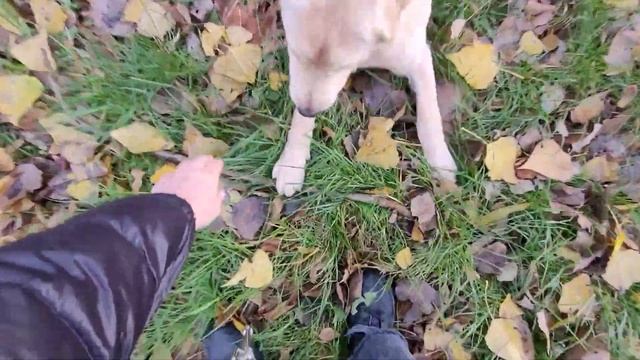 СВАРИЛА БОРЩ?ЖДУ МУЖА ДОМОЙ?МОИ ГОДА,МОЁ БОГАТСТВО?06.11.23