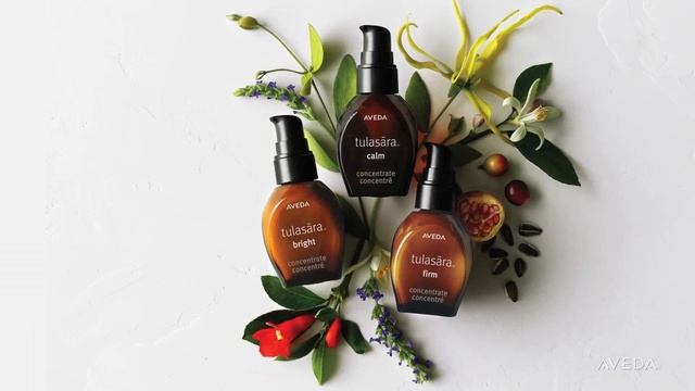 Tulasara Inspiration Video (косметология AVEDA) смотреть онлайн