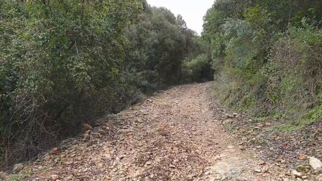 Замок Монфор в Израиле /потрясающие виды вокруг и странные зверьки смотреть онлайн