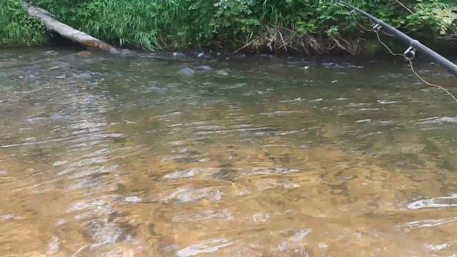 РЫБАЛКА НА ХАРИУСА В ЯКУТИИ / Август 2021 смотреть онлайн