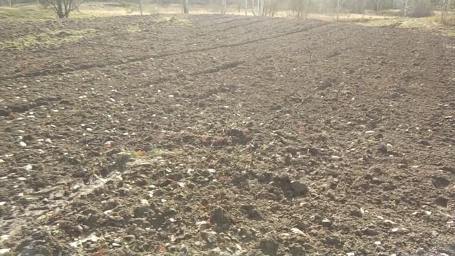 ВЫСАДКА | Плодового сада началась. Яблони. Груши. Часть - 1 смотреть онлайн