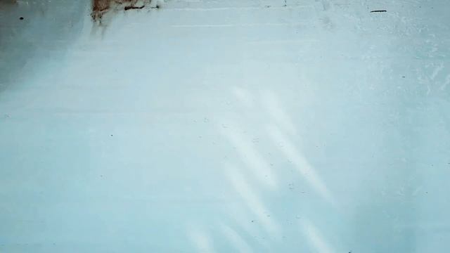 carpet cleaning satisfying | Best Video satisfying | rug cleaning mhmd ?? смотреть онлайн