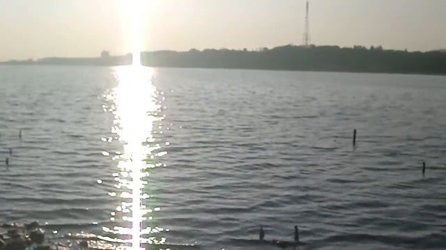 佐鳴湖散歩 смотреть онлайн