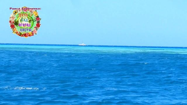 С 20 по 27 марта подарите себе процветание и здоровье. Как? Очень просто... смотреть онлайн