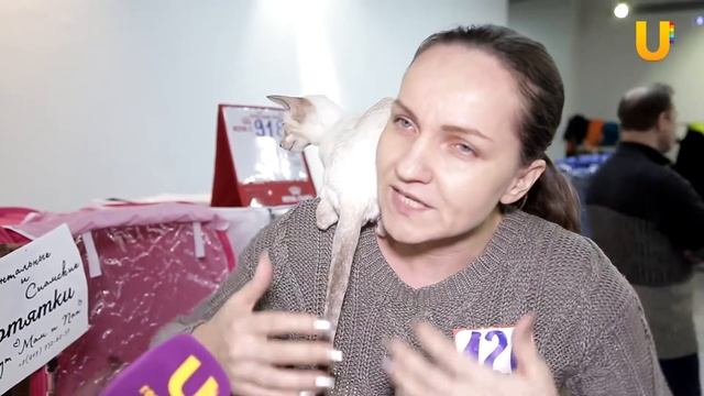 Глазами животных #303. Выставка кошек «Кубок Башкортостана 2018» смотреть онлайн