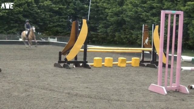 Golden Dream - 12.2h For Sale смотреть онлайн