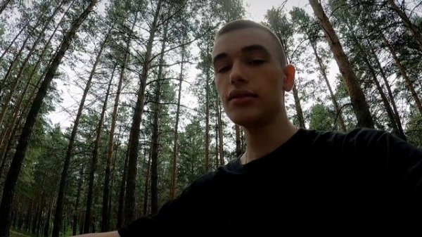 Полу рак, полу...? Kayo k4 обзор