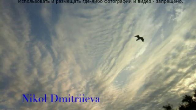 Федотова коса (Азовское море). Берег. смотреть онлайн