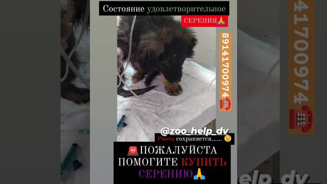 СЕРЕНИЯ....ОЧЕНЬ НУЖНА..ПОМОГИТЕ ПОЖАЛУЙСТА 🙏 смотреть онлайн