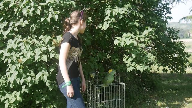 Голос. Дуэт Анны и попугая, Италия Voice. Anna and parrot, Italy смотреть онлайн