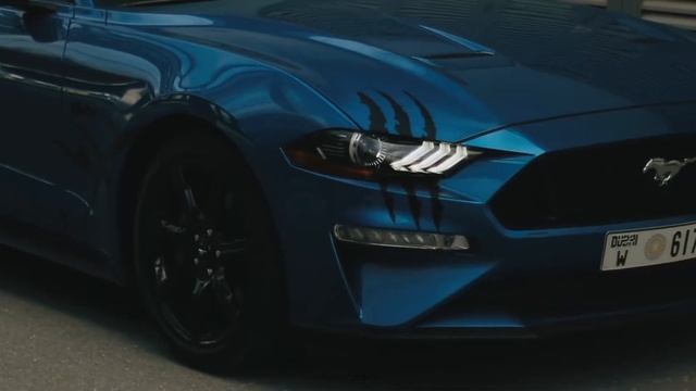 Ford Mustang GT 2019 | Dubai | Blue Panther 5.0 смотреть онлайн