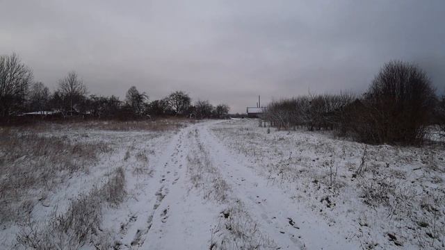 СОДЕРЖАНИЕ БЫКОВ СКОЛЬКО РАЗ В ДЕНЬ КОРМЛЮ,СВИНЬЯ ПОШЛА НА ПОПРАВКУ ОТПУСКАЮ С ЗАГОНА смотреть онлайн