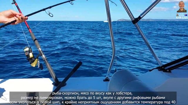 Морская рыбалка, видео для рыбаков. Океанские рыбы и твари, лучшее. Часть 3. (видео 416) смотреть онлайн