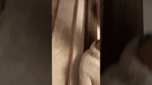 Как резать ГВЛ, гвлв.Резать с конс.  ножом.Гвлді пышақпен кесу жолы