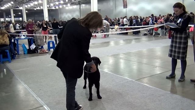 КЭТ 1 - STENVEYZ HUBBLE-BUBBLE смотреть онлайн