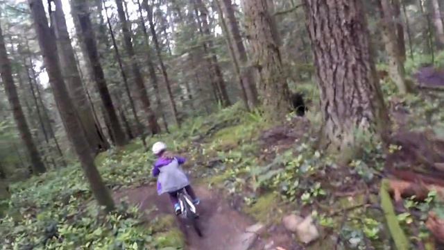 Sisters - Bert Flinn - 2020 смотреть онлайн