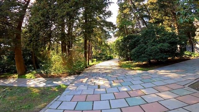 Гурзуфский парк, как попасть в парк санатория Гурзуфский, Гурзуф. Крым. Крым 2020. Природа Гурзуфа смотреть онлайн