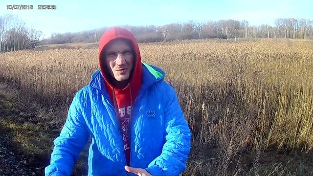 ВАС ОБМАНУЛИ!!! ВСЯ ПРАВДА О КОЛИЧЕСТВЕ БЕЛКА ДЛЯ РОСТА МЫШЦ.... смотреть онлайн