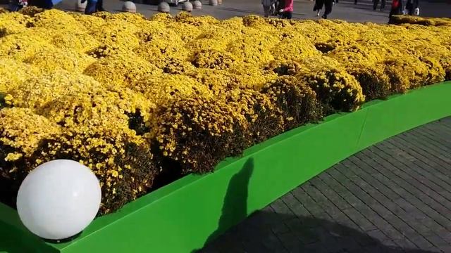 Золотая осень 2019 смотреть онлайн