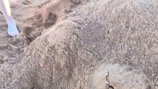 STUNG BY A BLUE BOTTLE JELLYFISH WHILE SKIPPING SCHOOL FOR THE BEACH смотреть онлайн