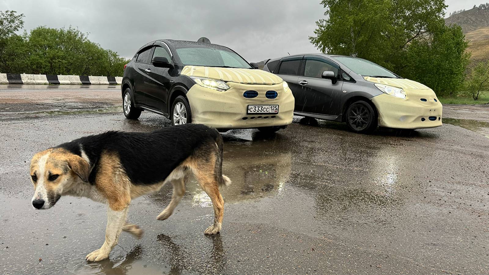 ПОЛОМКА НА ТРАССЕ((( ПЕРЕГОН С ЖЕНОЙ ИЗ ВЛАДИВОСТОКА VEZEL И NOTE смотреть онлайн
