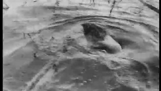 Grey Owl`s srange quest 1936 documentary смотреть онлайн