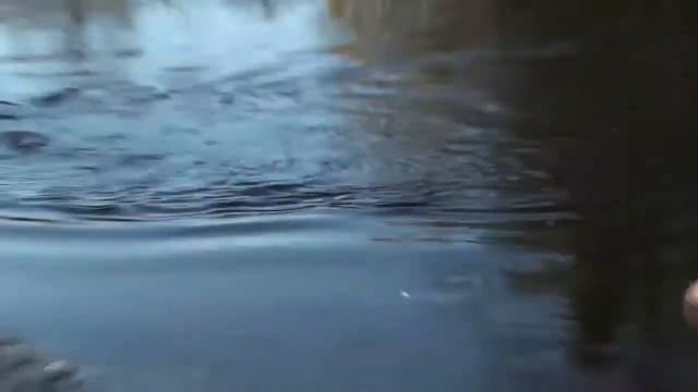 летняя рыбалка смотреть онлайн