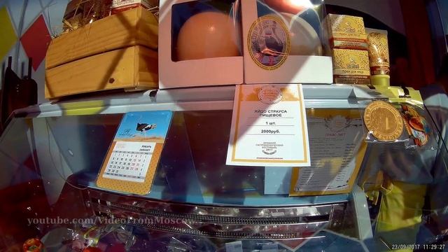 А вы до этого ролика знали сколько стоит страусиное яйцо? // 2017 смотреть онлайн