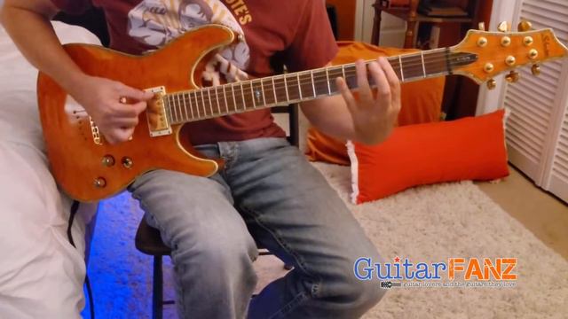 2004 Schecter C-1 Elite For Sale at Reverb.com смотреть онлайн