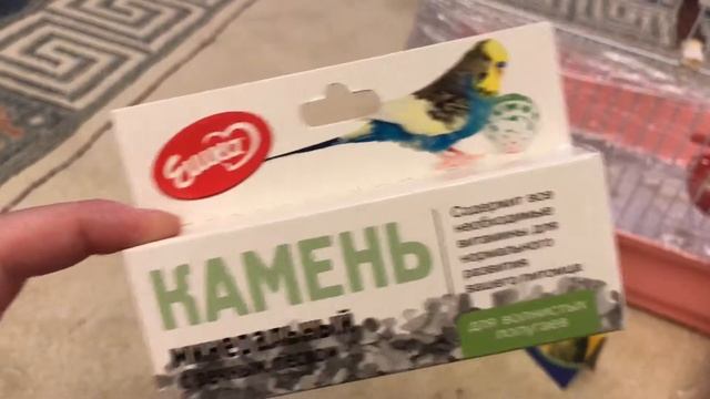 Что должно быть в клетке волнистого попугайчика смотреть онлайн