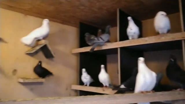 Экскурсия по Новому Уренгою за городом смотреть онлайн