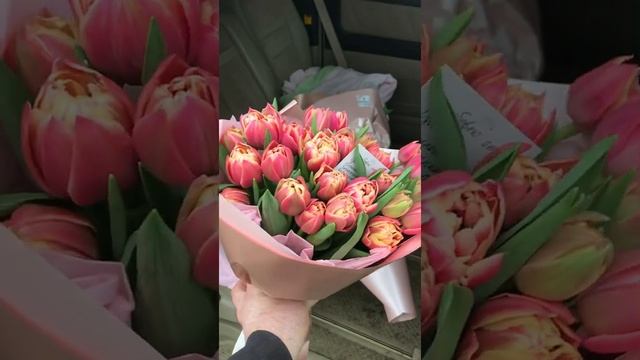 Срезка Тюльпанов 2021 год новые сорта смотреть онлайн